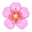 Sakura Flower