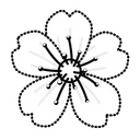Sakura Flower Anemone