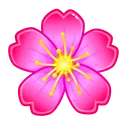 Sakura Flower Aster
