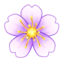 Sakura Flower Aubrieta
