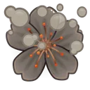 Sakura Flower Big Bang