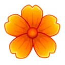 Sakura Flower Clivia