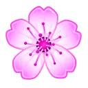 Sakura Flower Cosmea