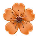 Sakura Flower Floris