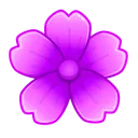 Sakura Flower Geranium