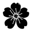 Sakura Flower Hollyhock