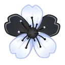 Sakura Flower Hybrid