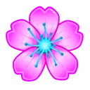 Sakura Flower Lanceolata