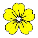 Sakura Flower Lemon Queen