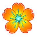 Sakura Flower Marigold