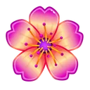 Sakura Flower Orchidra