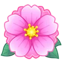 Sakura Flower Peony