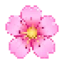Sakura Flower Pixel Bloom