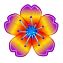 Sakura Flower Primrose