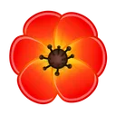 Sakura Flower Red Poppy