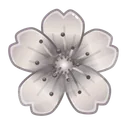 Sakura Flower Silveria