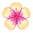 Sakura Flower Vanilla