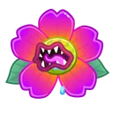 Sakura Flower Venus Flytrap