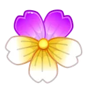 Sakura Flower Violet