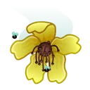 Sakura Flower Wilted