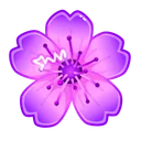 Sakura Flower Zap Aster