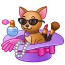 Spring Basket Chihuahua