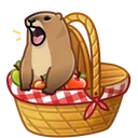 Spring Basket Marmot
