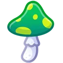 Spy Agaric Herbalist