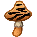 Spy Agaric Tiger’s Eye