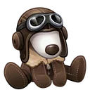 Resistance Dog Aviator