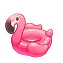 Pool Float