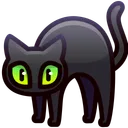 Scared Cat