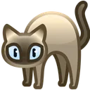 Scared Cat Azuki Siam