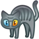 Scared Cat Bipolar Cat