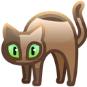 Scared Cat Cookie
