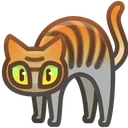 Scared Cat El Tigre