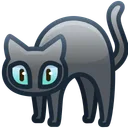 Scared Cat Misty Ash