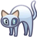 Scared Cat Ranni