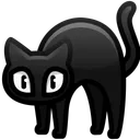 Scared Cat Salem