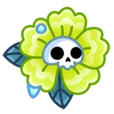 Skull Flower Early Green