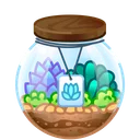 Restless Jar Succulents