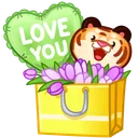 Joyful Bundle Tiger Cub