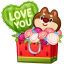 Joyful Bundle Watermelon