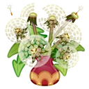 Lush Bouquet Dandelions