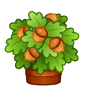 Lush Bouquet Oak Crown