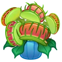 Lush Bouquet Venus Flytrap
