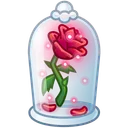 Eternal Rose