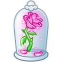 Eternal Rose Gentle Magic
