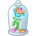 Eternal Rose Opal Dream