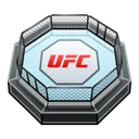 UFC Strike UFC Octagon